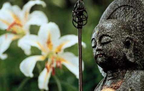 释迦牟尼佛所度第一人，阿若憍陈如的故事