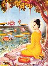 释迦牟尼佛所度第一人，阿若憍陈如的故事