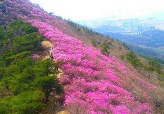 灵鹫山在哪里