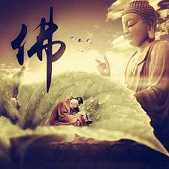 https://m.jingangjfy.com/ntgopic/xboyhh/52159.html
