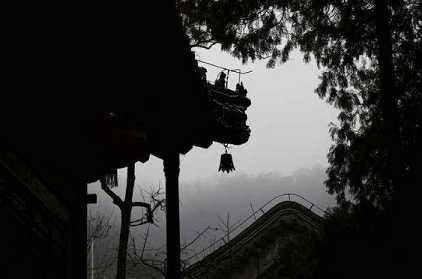 楼至佛的感应故事