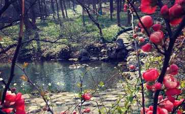 楞严神咒—一位佛弟子从走投无路到柳暗花明