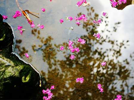 除病离苦的《药师咒》