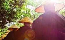 生活的布施是对别人幸福的一种随喜