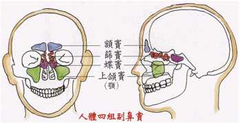 拜佛与医学 第二讲