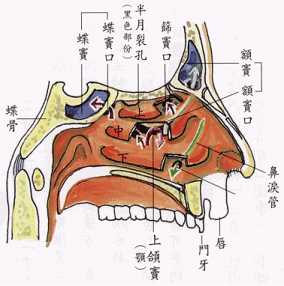 拜佛与医学 第二讲