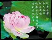 大佛顶首楞严经讲记（卷第五）-海仁老法师（10）