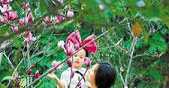 柳暗花明 绝处逢生——《金刚经》略谈